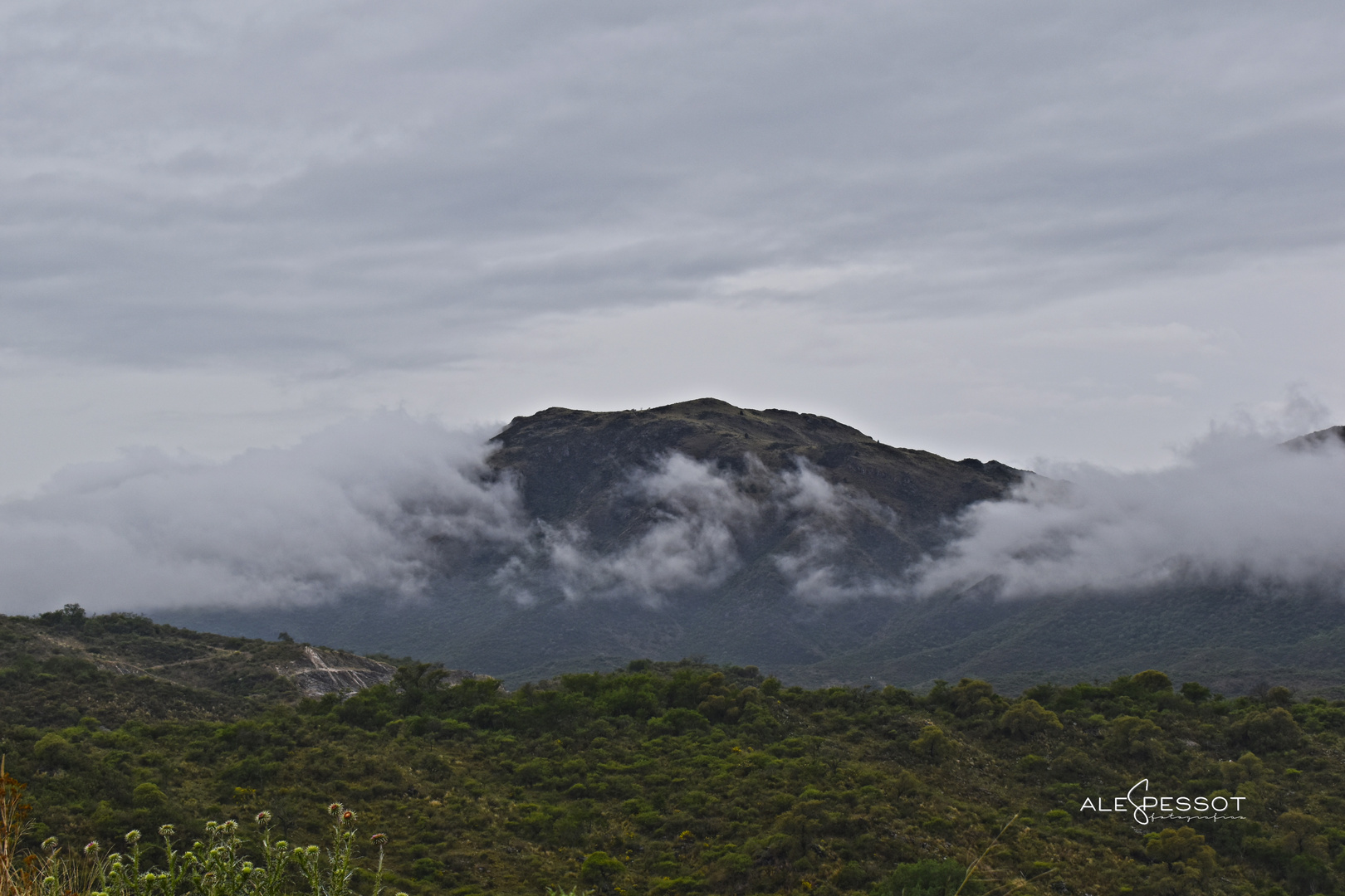 Rodeada de nubes