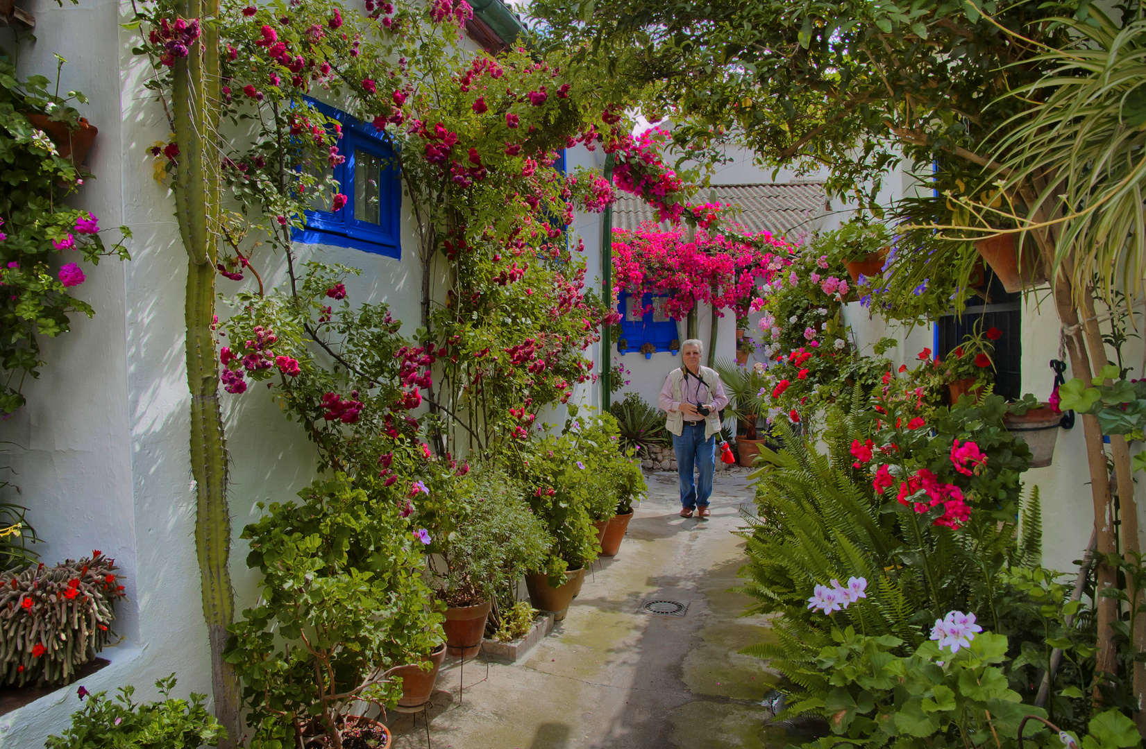 RODEADO DE FLORES (Dedicada a PEMARTO Y MANOLO TORRES)