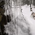 Rodelbahn im Zillertal