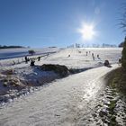 Rodeln gleich vor der Klostermauer (2017_01_21_EOS 6D_2788_ji)