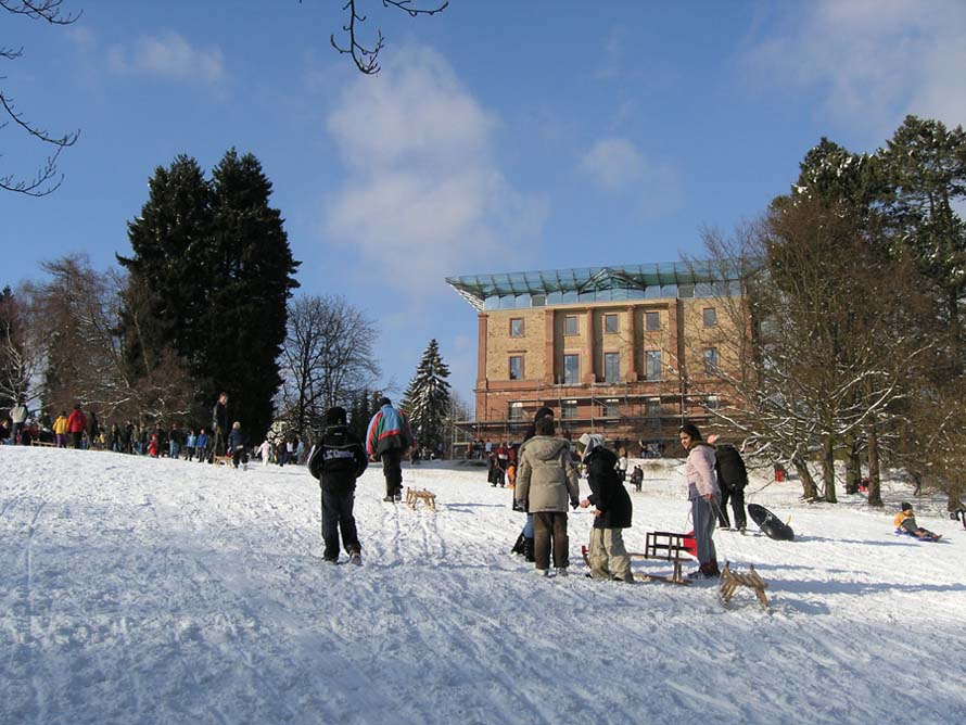 Rodeln in Wiesbaden