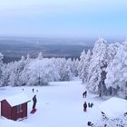 Rodelspaß auf dem Großen Inselsberg