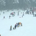 Rodelspass in der Eifel