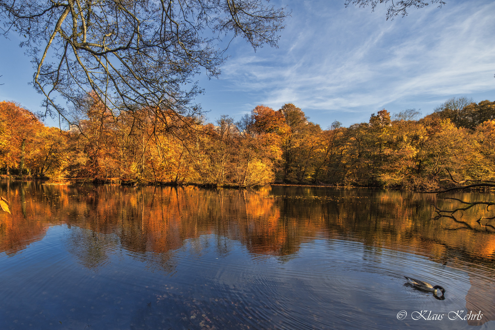 Rodenbeker Quellental - 29102101