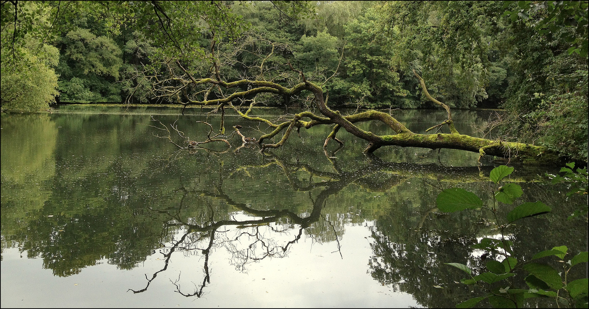 Rodenbeker Quellental