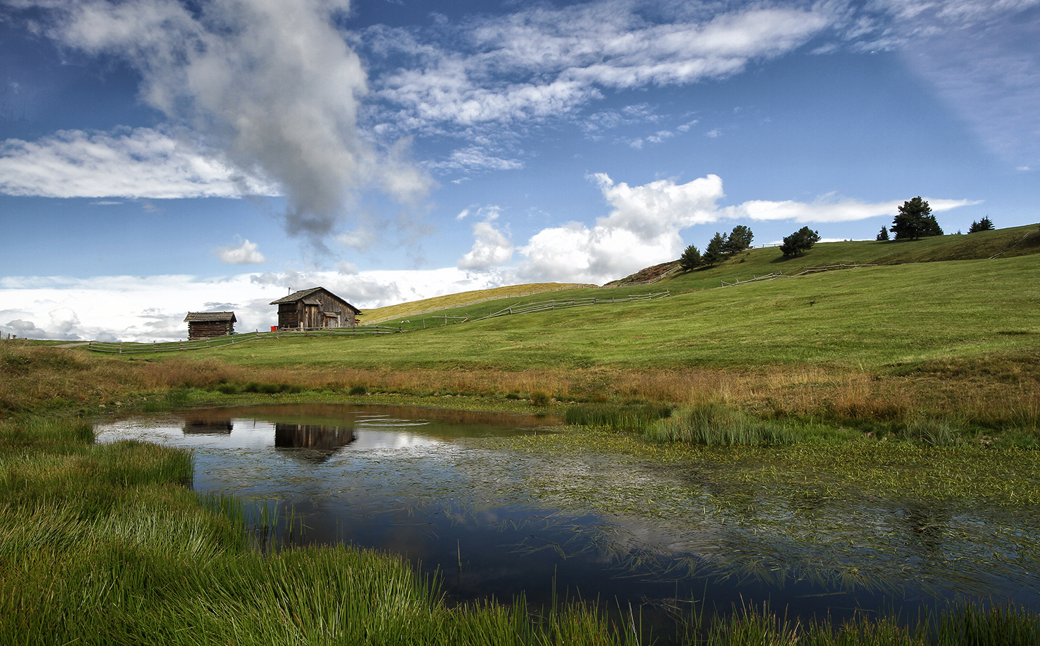 Rodenecker Alm