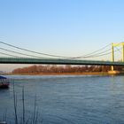 Rodenkirchen Brücke