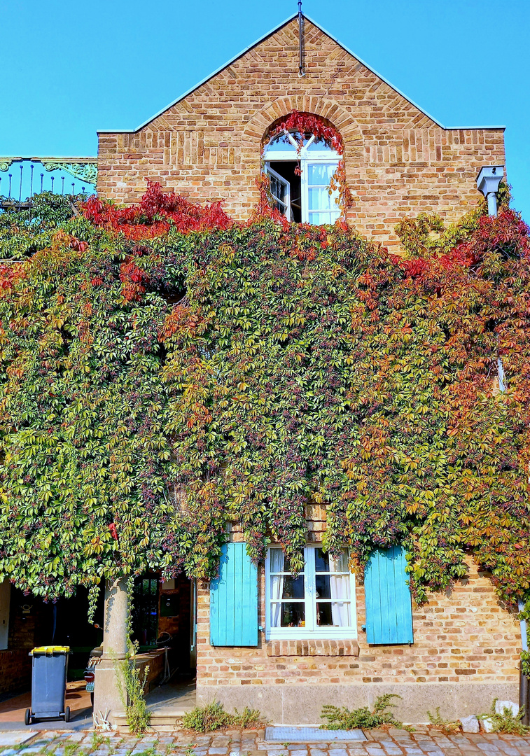 Rodenkirchener Ansichten -4-