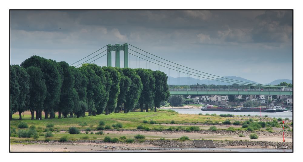 Rodenkirchener Brücke