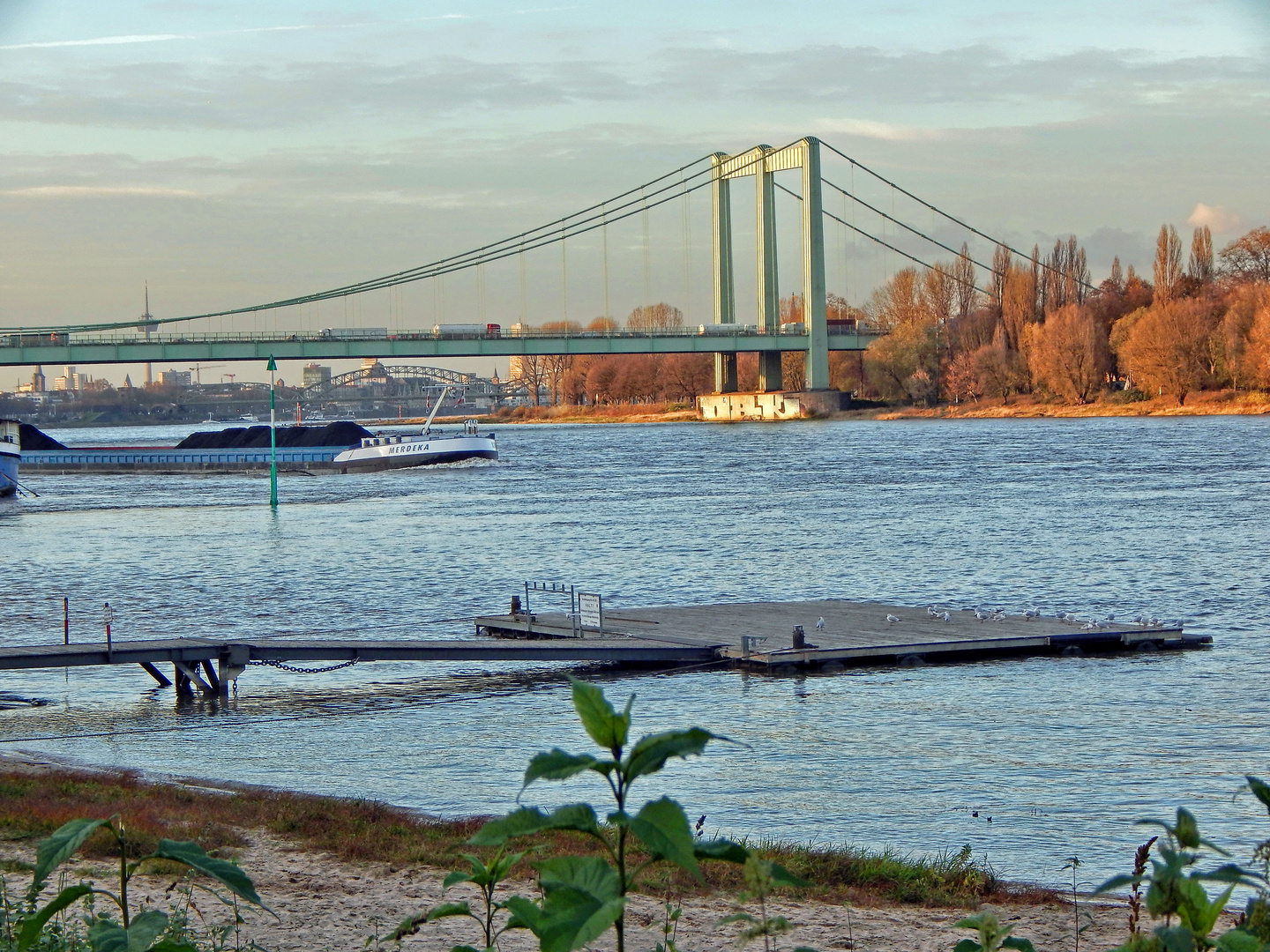 Rodenkirchener Brücke