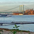 Rodenkirchener Brücke