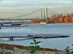 Rodenkirchener Brücke