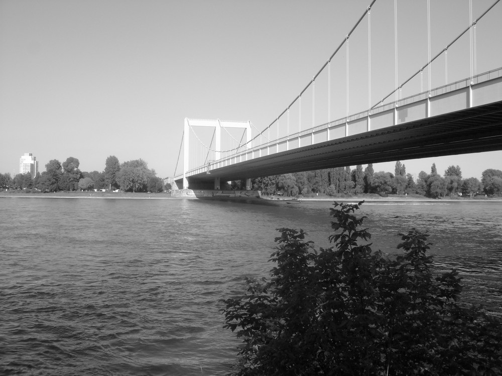 Rodenkirchener Brücke