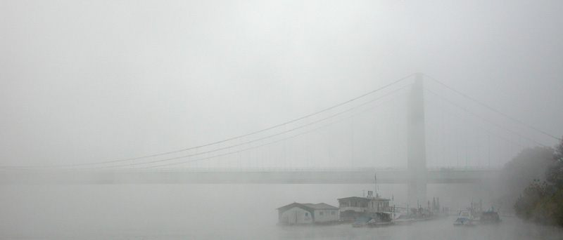 Rodenkirchner Brücke #2 (Bridge across forever)