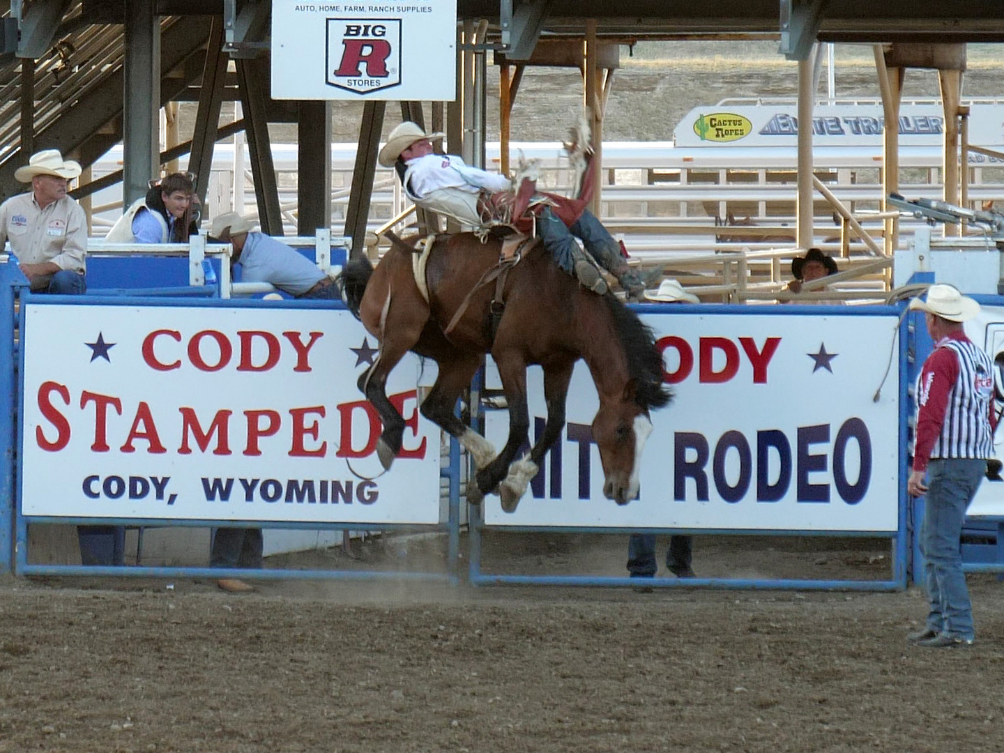Rodeo 1