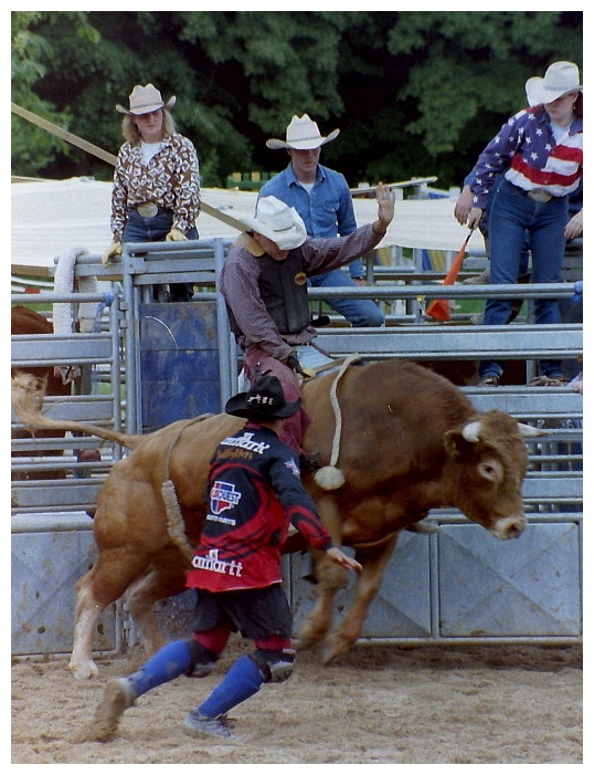 Rodeo (1)