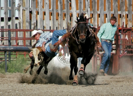 Rodeo #1 in Gardiner MT-USA