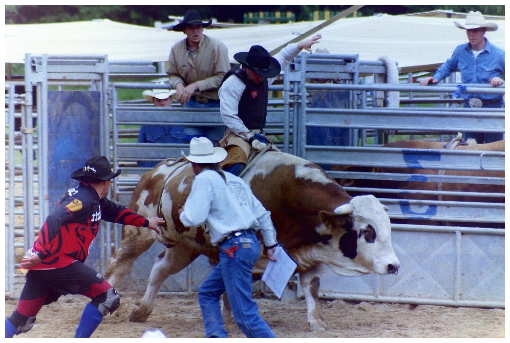 Rodeo (2)