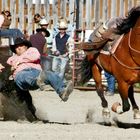 Rodeo #2 in Gardiner MT-USA