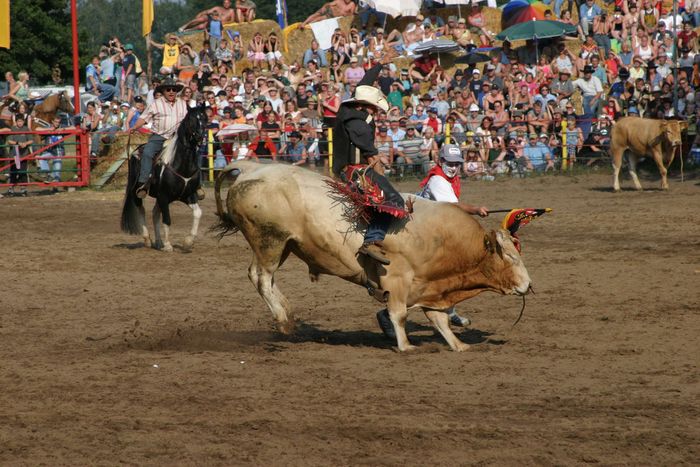 Rodeo 2004 im Emsland