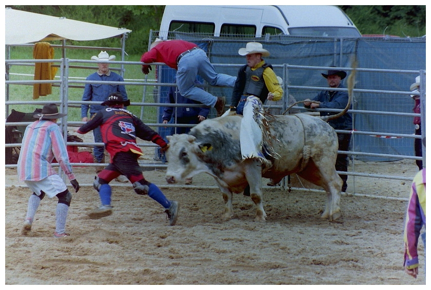 Rodeo (3)