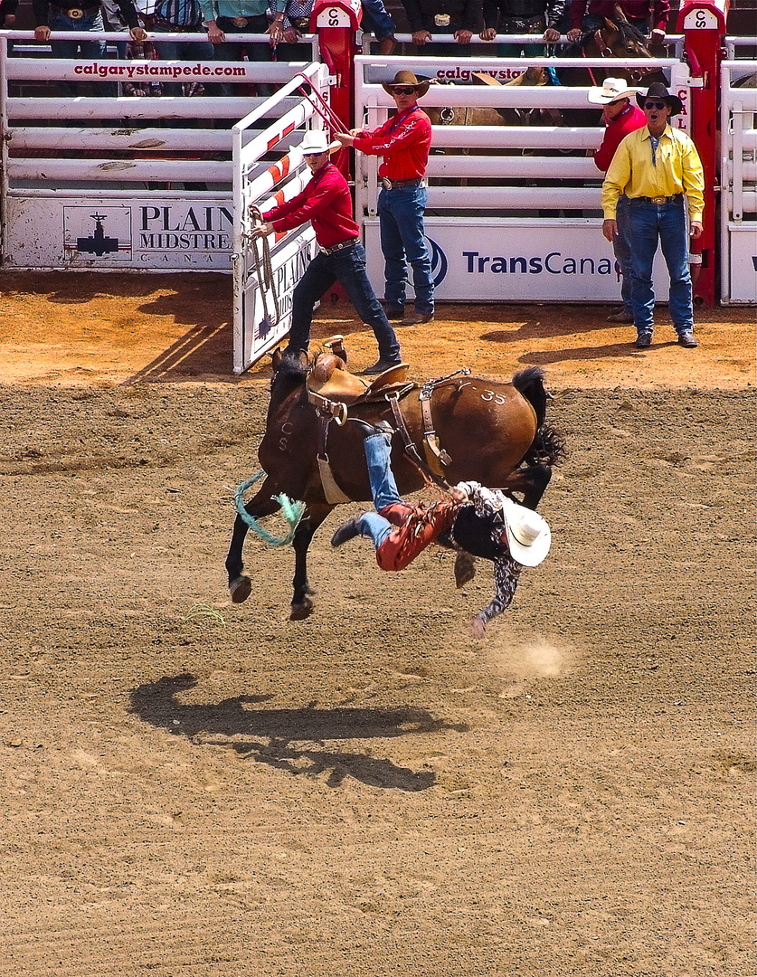 Rodeo