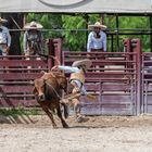 Rodeo (7)