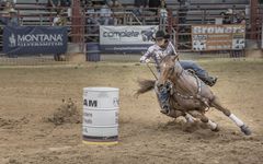 Rodeo "Barrel racing 3"