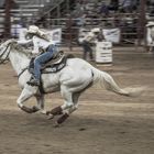 Rodeo "Barrel racing"