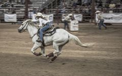 Rodeo "Barrel racing"