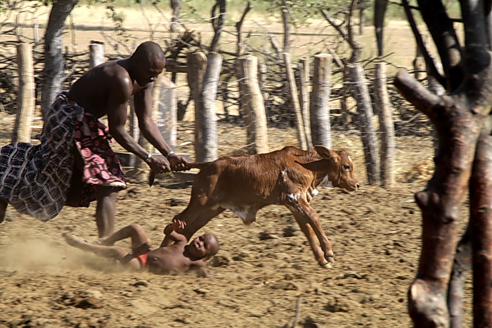 Rodeo bei den Himbas