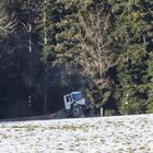 Rodeo beim Holzrücken