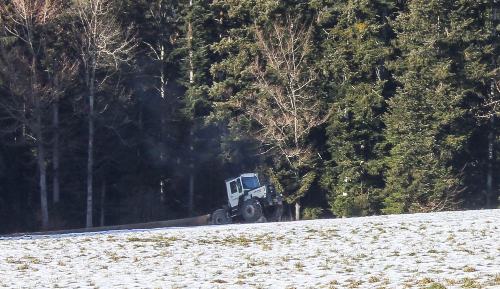 Rodeo beim Holzrücken