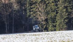 Rodeo beim Holzrücken