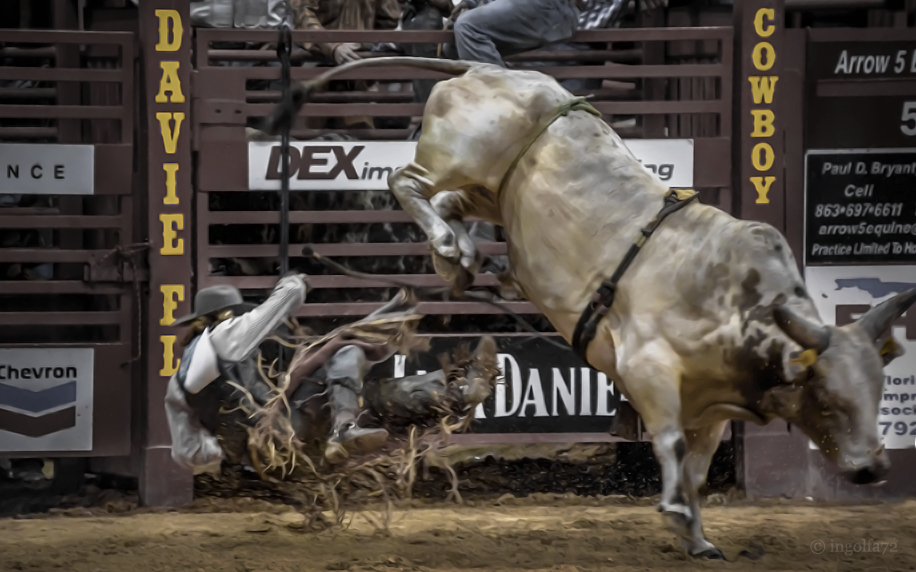 Rodeo "Bull riding 2"