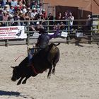 Rodeo- Bull Riding