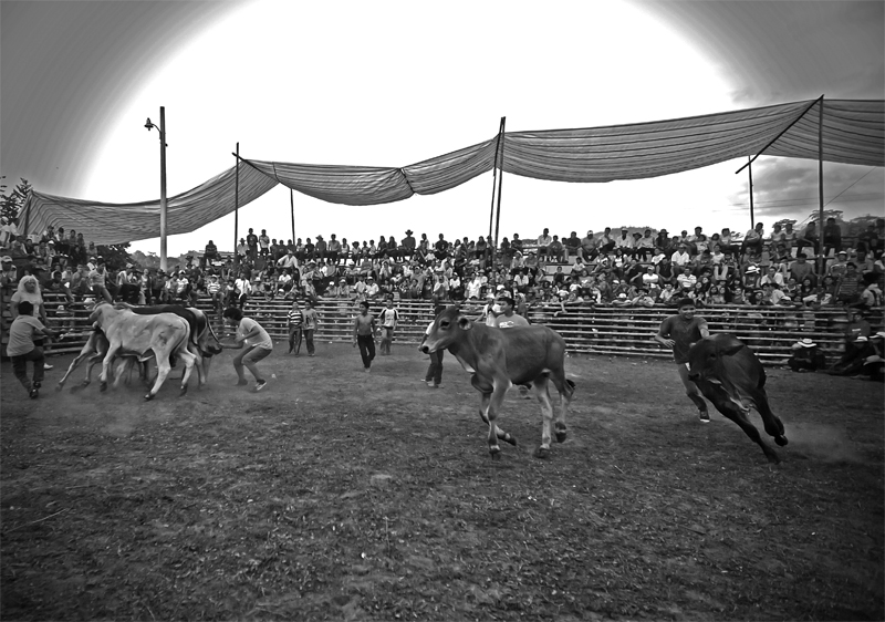 Rodeo di Lascano 2