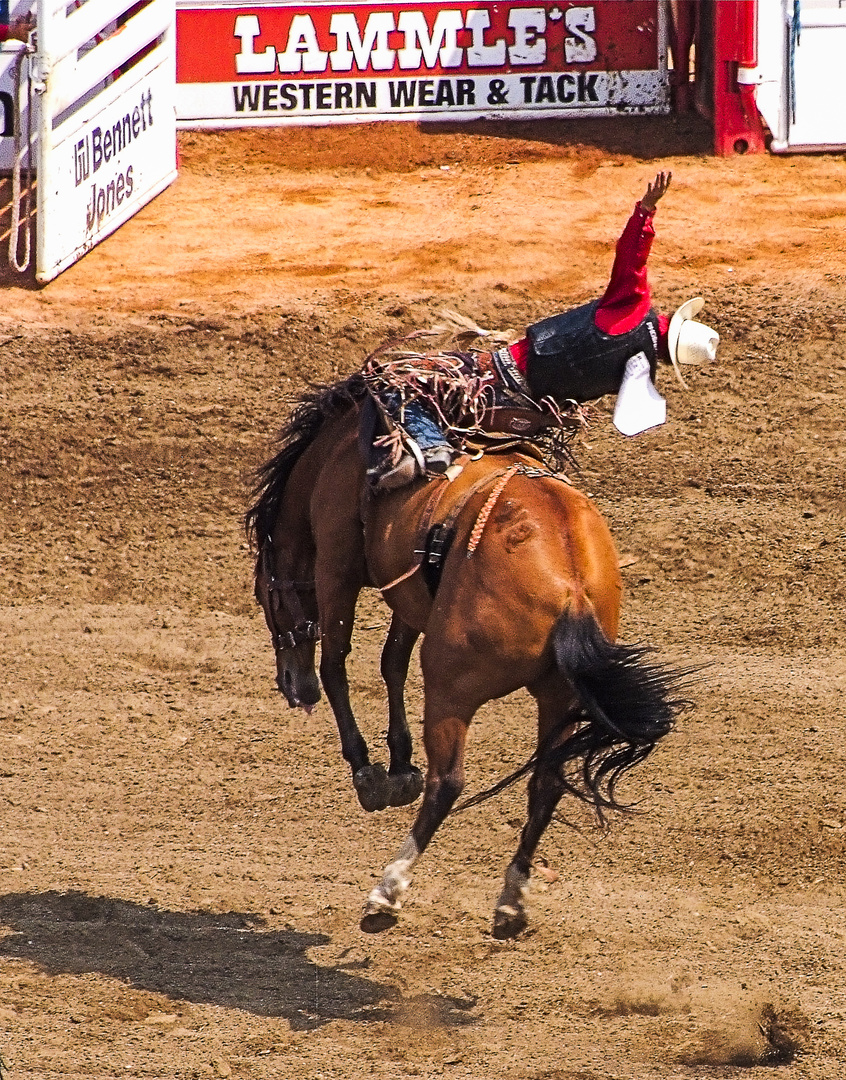 Rodeo