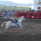 Rodeo girl