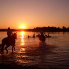 * Rodeo im Wasser