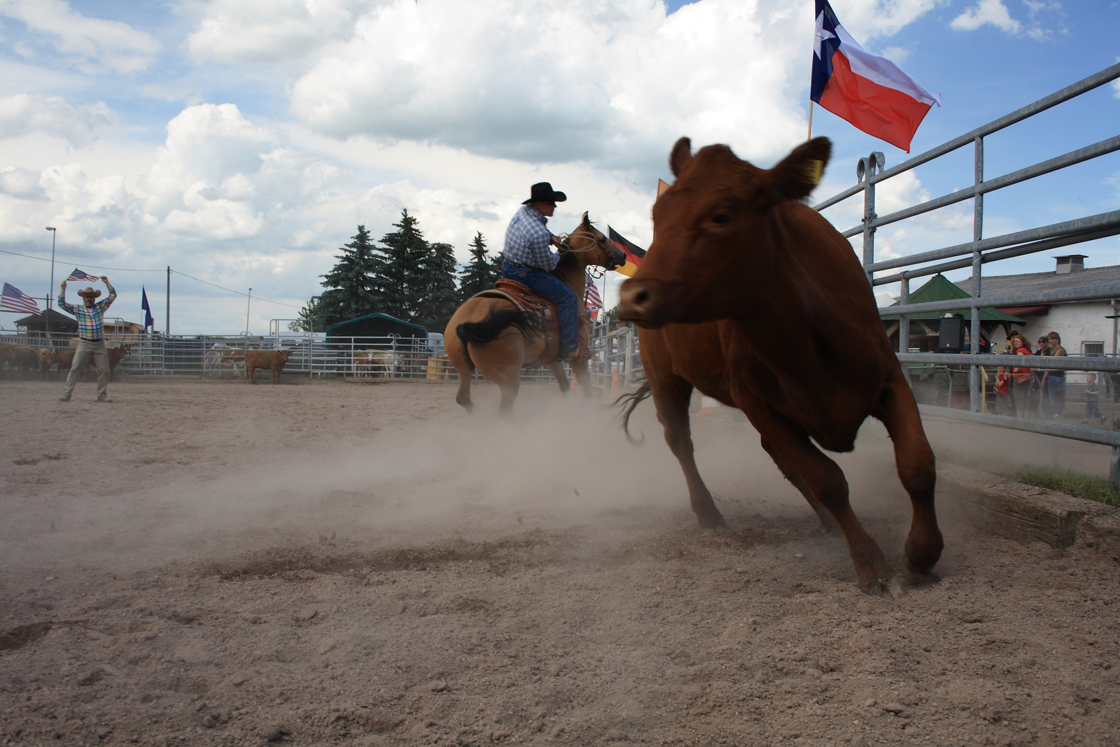 Rodeo in Apolda