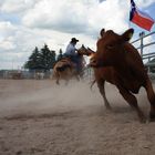 Rodeo in Apolda