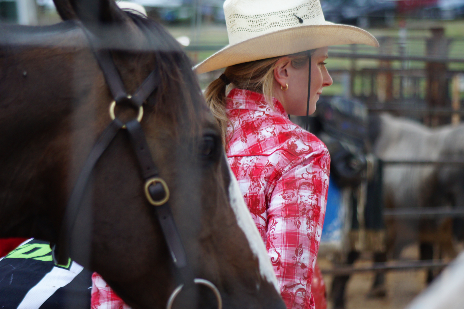 Rodeo in Australien