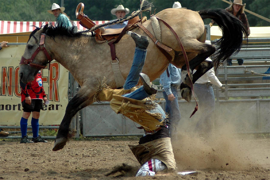 Rodeo in Dresden