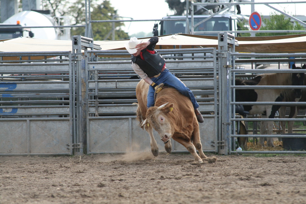 Rodeo in Griesheim 02