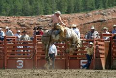 Rodeo in Hulett Wyoming