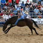 Rodeo in Köln