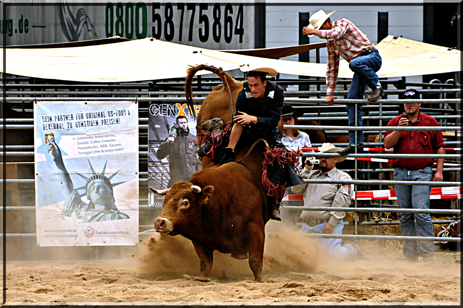 Rodeo in Köln