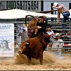 Rodeo in Köln