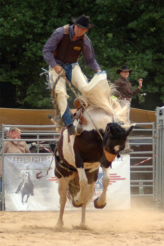 Rodeo in Köln